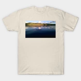 Family of Ducks on a Lake T-Shirt